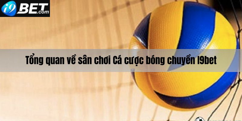 Tổng quan về sân chơi cá cược bóng chuyền I9bet