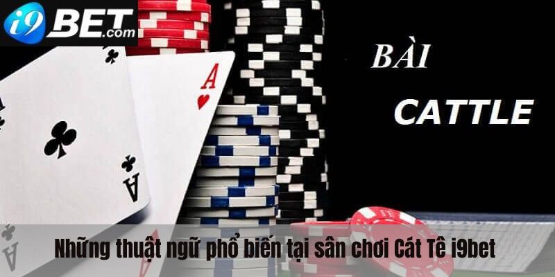 Những thuật ngữ phổ biến tại sân chơi cát tê i9bet 